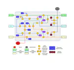 RNN-based wave propagation simulation